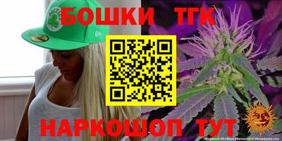 гидра Моздок