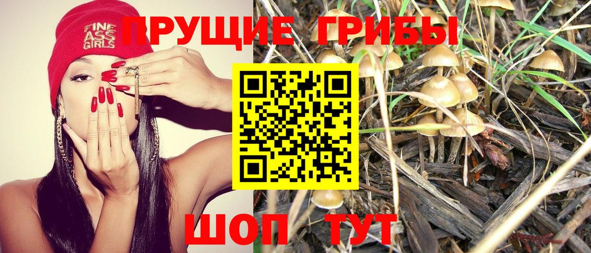 Галлюциногенные грибы MAGIC MUSHROOMS Чита