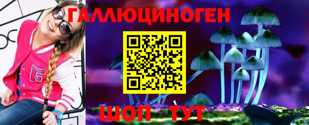 Чита  магазин продажи   Галлюциногенные грибы Psilocybe  Вход с VPN  Псилоцибиновые грибы Cubensis 